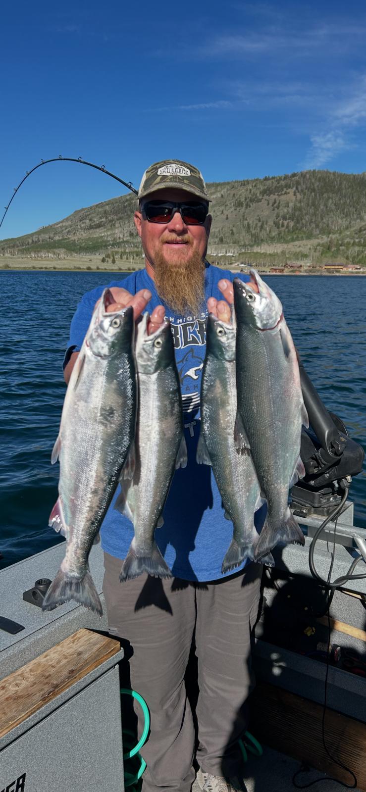 Charter highlight