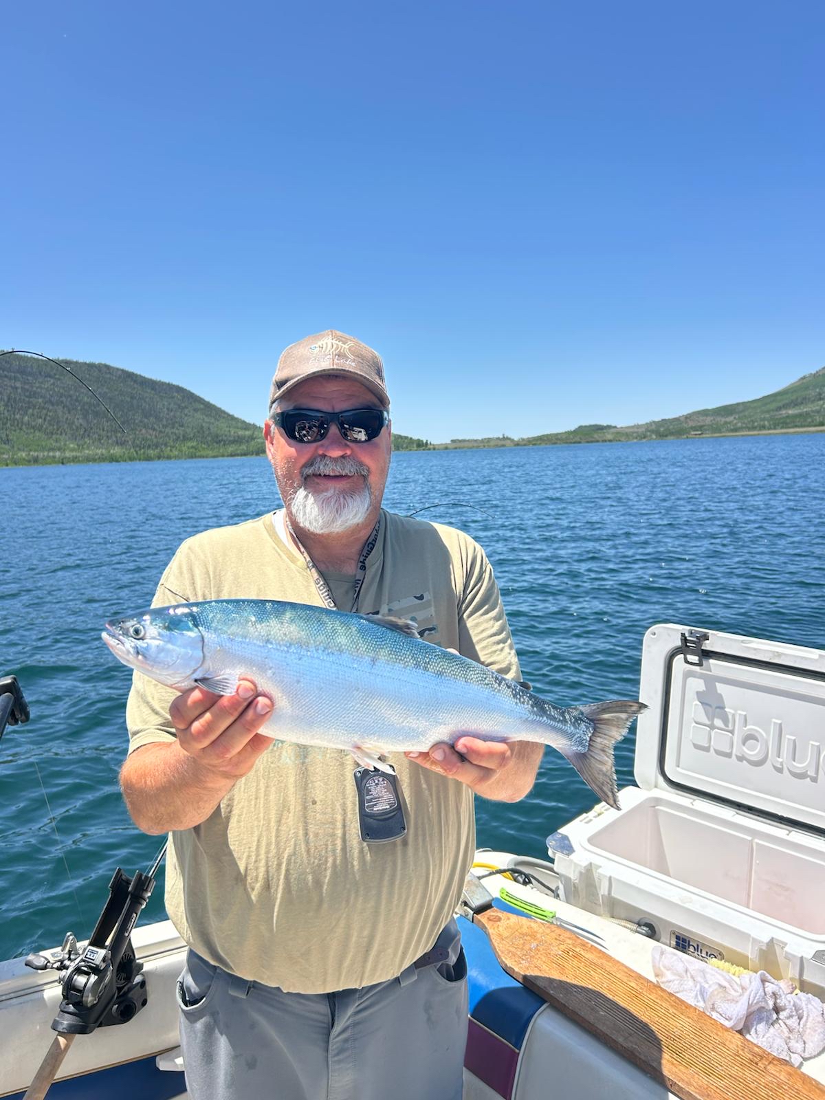 Catching silver in the midday sun.