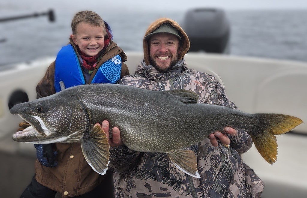 Lake trout in clear water